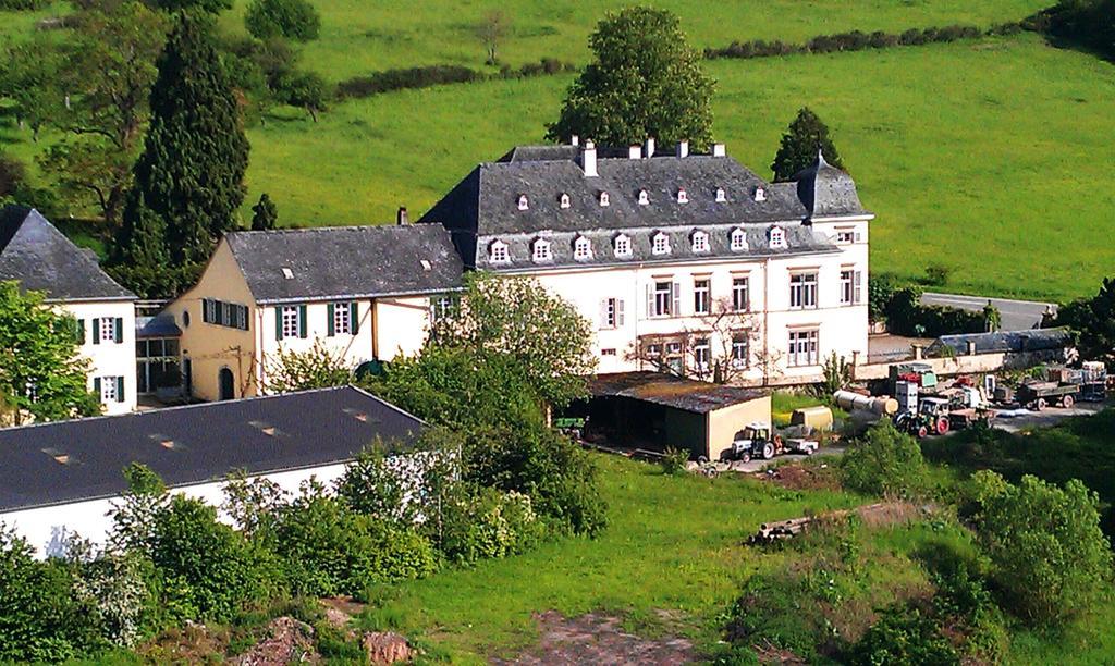 Haus Sonnenschein Apartment Wiltingen Exterior photo